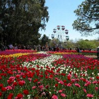 Floriade